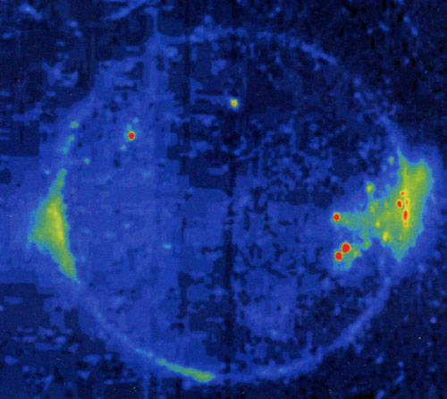  .   ,
,      ,
    -
   