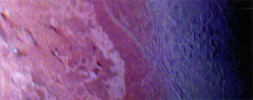                (- )      ( )      .